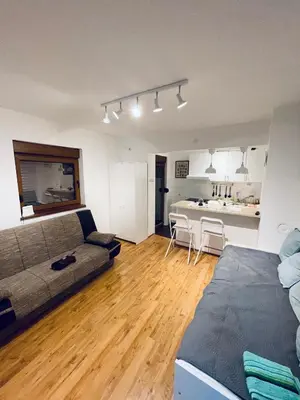 a living room with a couch and a kitchen at Sokobanja Apartman Aleksa in Soko Banja