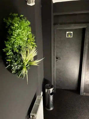 two plants hanging on a wall next to a door at 4 Rooms Apartments in Niš