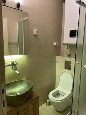 a bathroom with a green sink and a toilet at Vila NADJA in Kopaonik