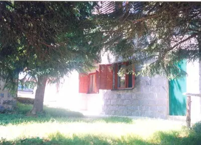 a small house with red windows and a tree at Vila NADJA in Kopaonik
