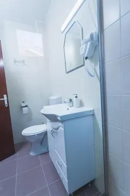 a bathroom with a toilet and a sink and a mirror at Guest House SokoDream in Soko Banja