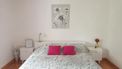 Gallery image of Vlajković apartmani in Vrnjačka Banja