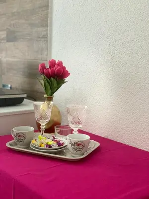 Gallery image of Vlajković apartmani in Vrnjačka Banja