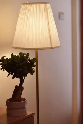 a lamp sitting on a table next to a plant at Apartmani Boss in Vrnjačka Banja