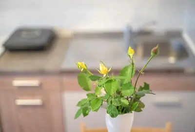 a white vase with yellow flowers in a kitchen at Zeleno srce in Soko Banja