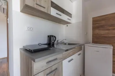 a small kitchen with a sink and a refrigerator at Zeleno srce in Soko Banja