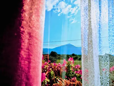 a window with a view of a garden of flowers at Villa Saturea in Boljevac