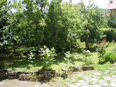 a garden with a bench under a tree at Studio Elizabeta in Soko Banja