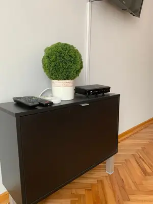a black cabinet with a plant on top of it at Comfy Studio - 1 minute walk to Delta Planet in Niš