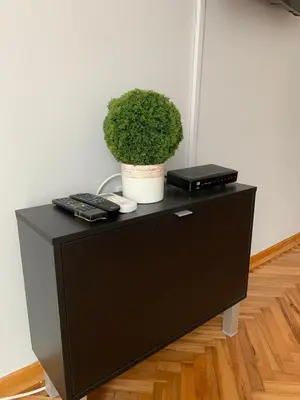 a black cabinet with a plant on top of it at Comfy Studio - 1 minute walk to Delta Planet in Niš