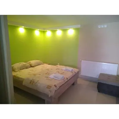 a bedroom with a bed with a green wall at Apartmani Milosavljevic in Soko Banja