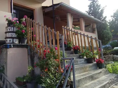 a house with potted flowers on the stairs at Apartmani Milosavljevic in Soko Banja
