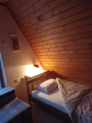 a bed in a room with a wooden ceiling at Vikend kuca Bela Reka in Brzeće
