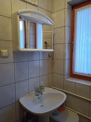 a bathroom with a white sink and a mirror at Vikend kuca Bela Reka in Brzeće