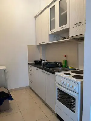 a kitchen with a white stove and a sink at Garmani in Vrnjačka Banja