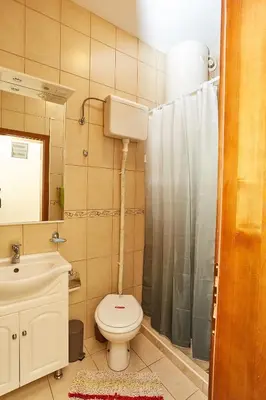 a bathroom with a toilet and a sink and a shower at ŽUPAN apartmani in Soko Banja