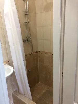 a bathroom with a shower and a sink at Sobe SANjA in Pirot
