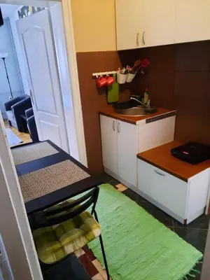 a small kitchen with a sink and a green rug at Apartmani Biljana Lazić in Vrnjačka Banja