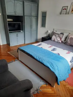 a bedroom with a large bed and a tv at Apartmani Biljana Lazić in Vrnjačka Banja
