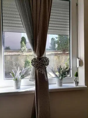 a window with two potted plants on a window sill at Studio Dunja in Vrnjačka Banja