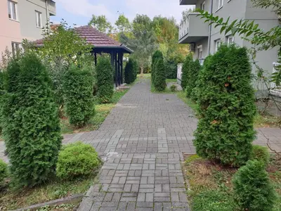 a brick pathway with green bushes and a gazebo at Studio Dunja in Vrnjačka Banja