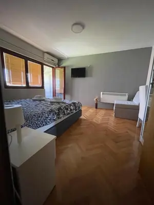 a large bedroom with a bed and a couch at Leo in Niš