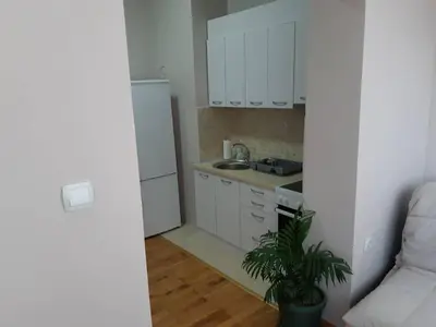 a small kitchen with white cabinets and a potted plant at Stankovic Apartman in Vranje