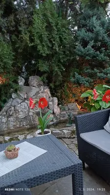 a picnic table with a red flower on it at Happy Star in Niš