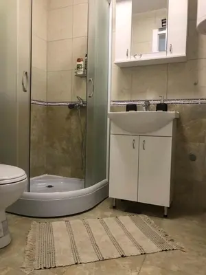 a bathroom with a sink and a shower and a toilet at Apartman Sofia in Vrnjačka Banja