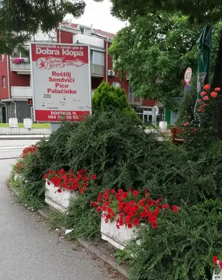 a bunch of plants with red flowers in front of a building at Apartman NADA in Vrnjačka Banja