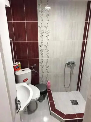 a bathroom with a shower and a toilet and a sink at Studio Ivana 1 in Soko Banja