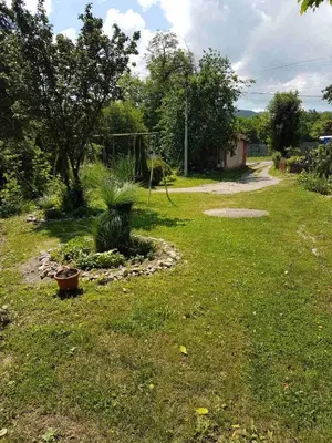 a yard with a plant in the grass at Studio Ivana 1 in Soko Banja