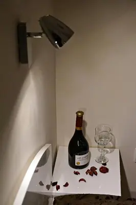 a bottle of wine and a glass on a table at Vila Plan 404 in Kopaonik