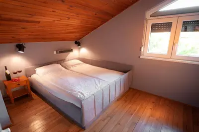 a bedroom with a bed in a room with a window at Kuća Jankovića in Vrnjačka Banja