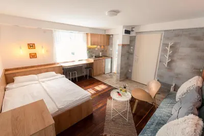 a bedroom with a bed and a living room at Kuća Jankovića in Vrnjačka Banja