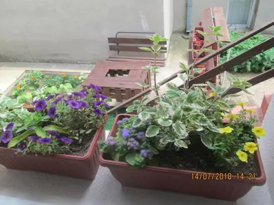 two pots of plants and flowers on a balcony at Kuća Popović Apartments in Niš