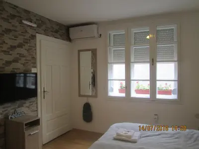 a bedroom with a bed and two windows and a television at Kuća Popović Apartments in Niš