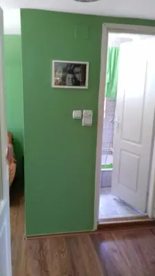 a green wall in a room with a door at Sweet dreams in Zaječar
