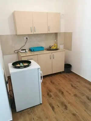 a small kitchen with a counter and a sink at Apartmani Gmitrovic in Rtanj