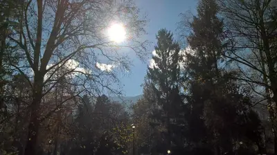 a sun shining through the trees in a park at Apartman Linera in Soko Banja