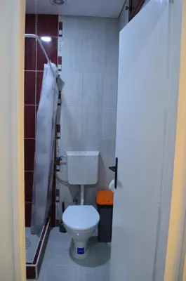 a bathroom with a toilet and a shower at Apartman Linera in Soko Banja