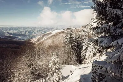a snow covered mountain with trees on the side at Kostovac Boutique Homes - House 1 in Kopaonik