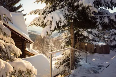 a house covered in snow next to a tree at Kostovac Boutique Homes - House 1 in Kopaonik