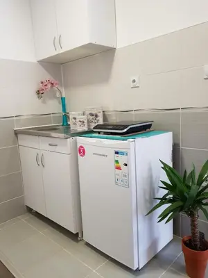 a kitchen with a white refrigerator and a counter at Vila Stefanovic in Soko Banja