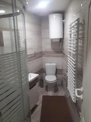 a bathroom with a toilet and a sink at Apartmani Nikola u vili Semeteš in Kopaonik