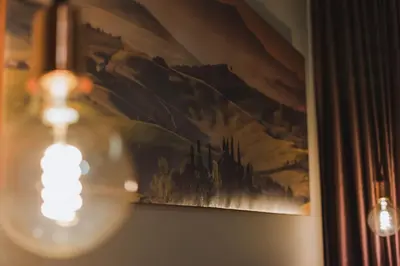 a picture of a painting on a wall with a light at Central Plaza Apartments in Niš