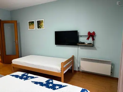 a bedroom with two beds and a flat screen tv at IWA CENTAR Apartments & Wellness in Vrnjačka Banja