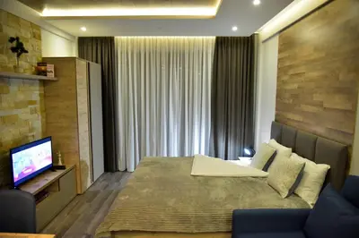 a hotel room with a bed and a television at Apartman Sladjana Premier 12 Milmari in Kopaonik
