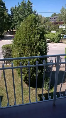 a metal railing in front of a bush at Felix Apartment in Soko Banja