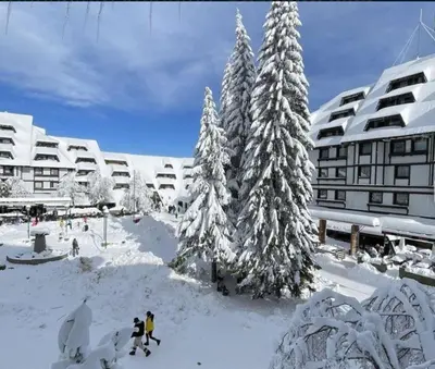 a group of people in the snow near snow covered trees at Tim 135 Konaci-Angella Centar in Kopaonik